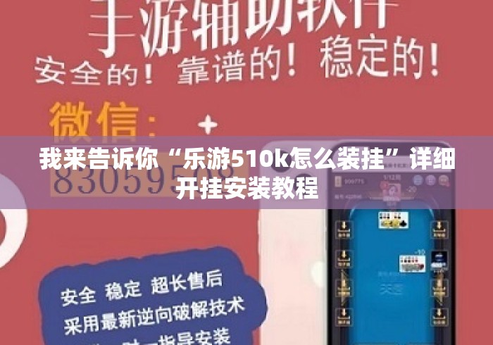 我来告诉你“乐游510k怎么装挂”详细开挂安装教程