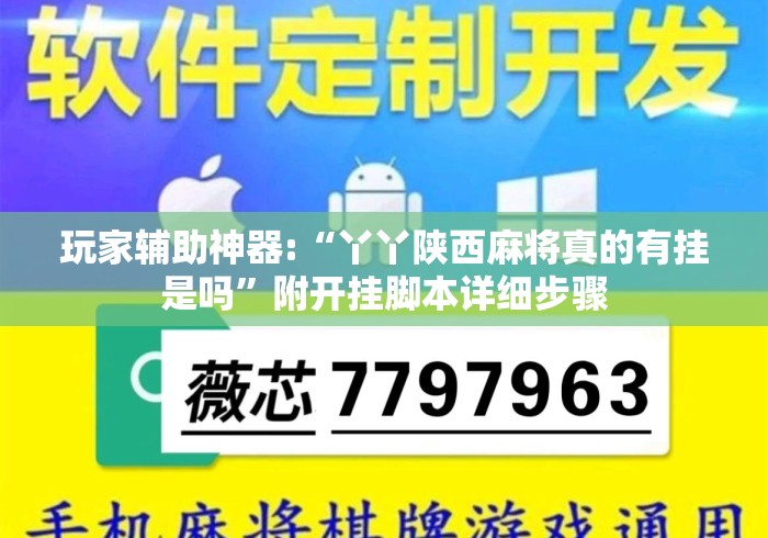 玩家辅助神器:“丫丫陕西麻将真的有挂是吗”附开挂脚本详细步骤