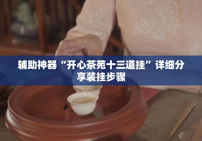 辅助神器“开心茶苑十三道挂”详细分享装挂步骤