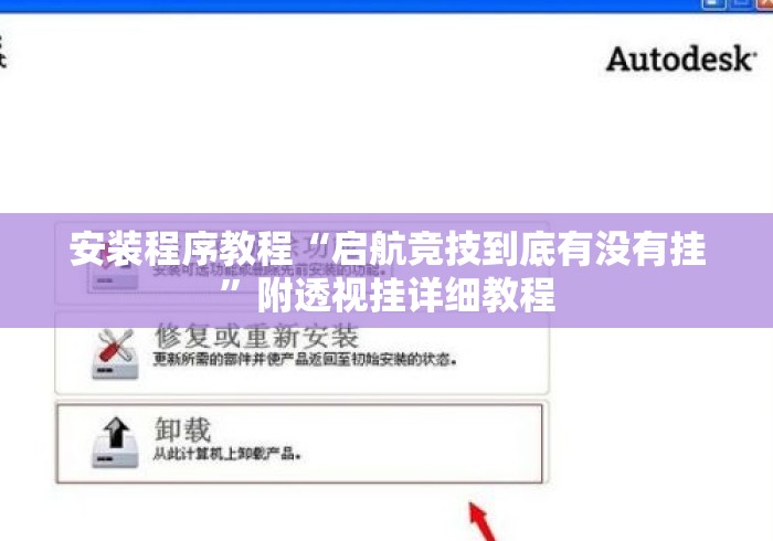 安装程序教程“启航竞技到底有没有挂”附透视挂详细教程