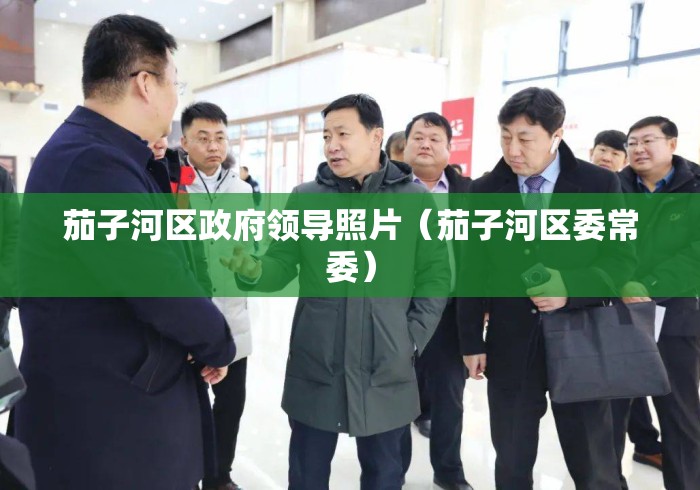 茄子河区政府领导照片（茄子河区委常委）