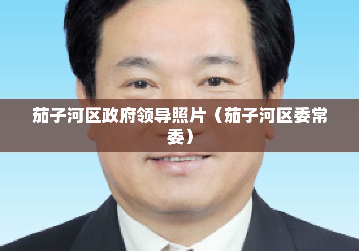 茄子河区政府领导照片（茄子河区委常委）