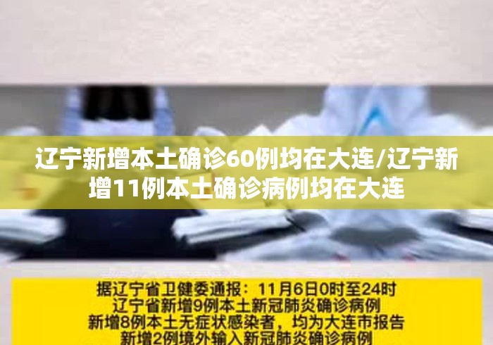 辽宁新增本土确诊60例均在大连/辽宁新增11例本土确诊病例均在大连