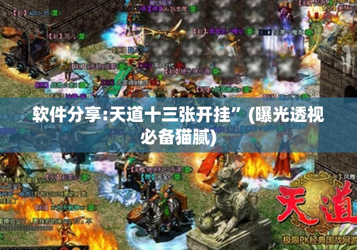 软件分享:天道十三张开挂	”(曝光透视必备猫腻)