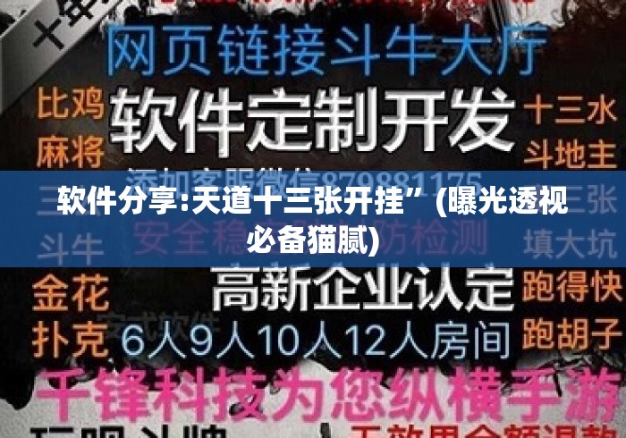 软件分享:天道十三张开挂”(曝光透视必备猫腻)