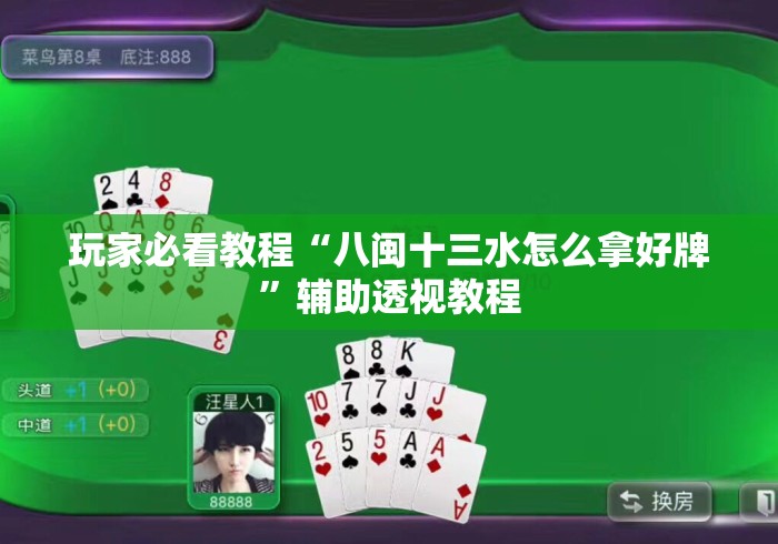 玩家必看教程“八闽十三水怎么拿好牌”辅助透视教程