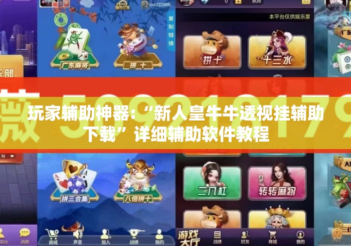 玩家辅助神器:“新人皇牛牛透视挂辅助下载”详细辅助软件教程