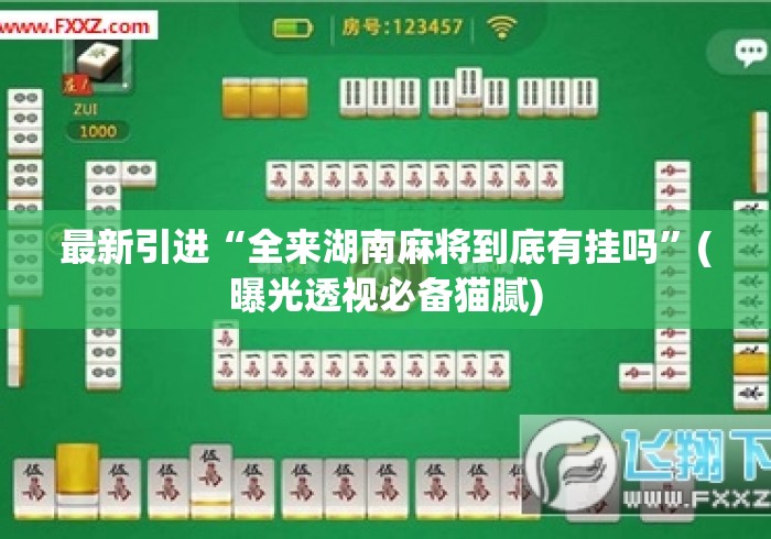 最新引进“全来湖南麻将到底有挂吗”(曝光透视必备猫腻)