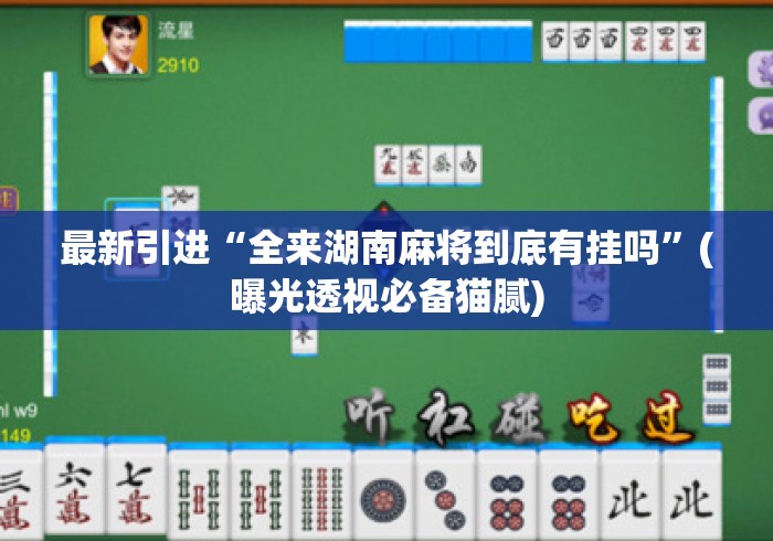 最新引进“全来湖南麻将到底有挂吗”(曝光透视必备猫腻)
