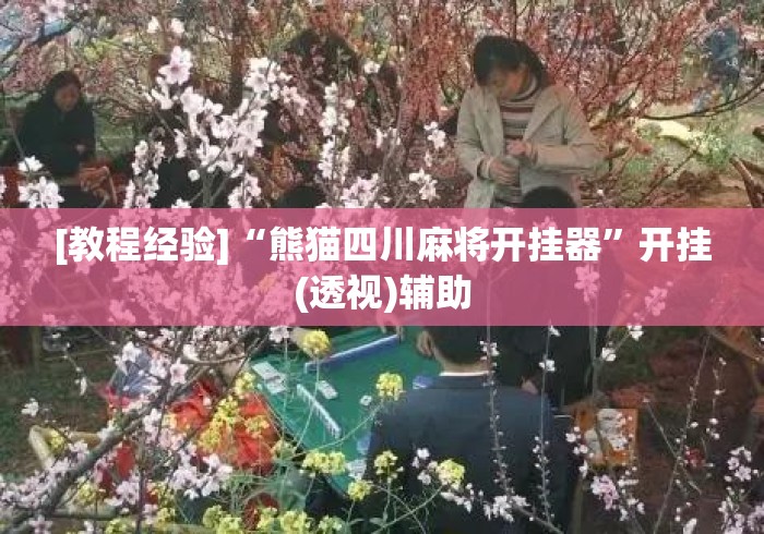 [教程经验]“熊猫四川麻将开挂器”开挂(透视)辅助