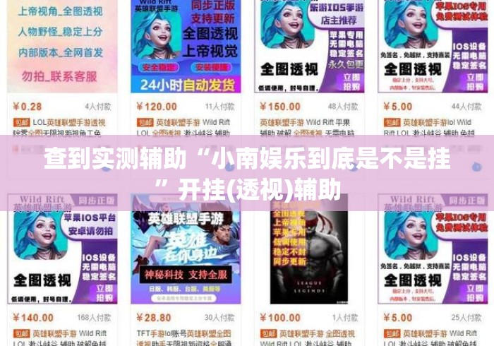 查到实测辅助“小南娱乐到底是不是挂”开挂(透视)辅助