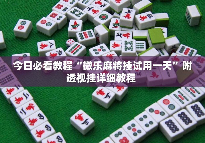 今日必看教程“微乐麻将挂试用一天”附透视挂详细教程 
