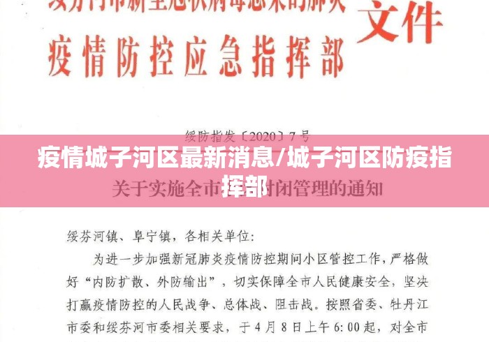 疫情城子河区最新消息/城子河区防疫指挥部