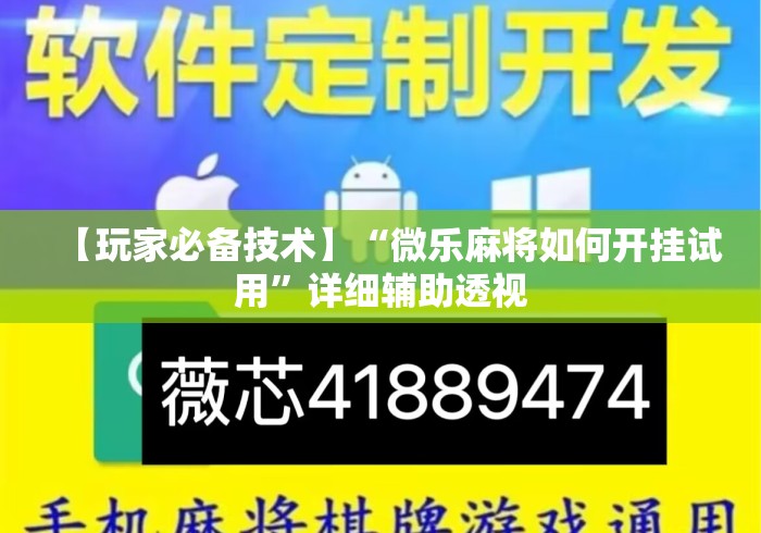 【玩家必备技术】“微乐麻将如何开挂试用	”详细辅助透视