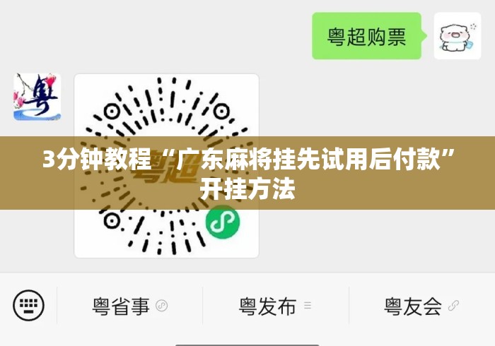3分钟教程“广东麻将挂先试用后付款”开挂方法