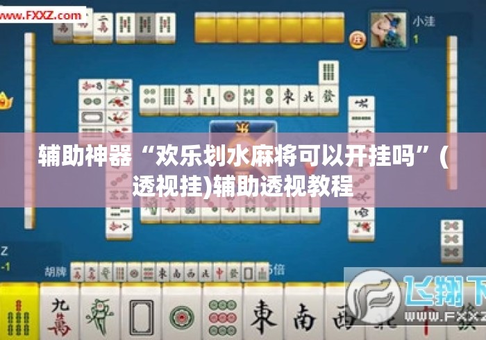 辅助神器“欢乐划水麻将可以开挂吗”(透视挂)辅助透视教程