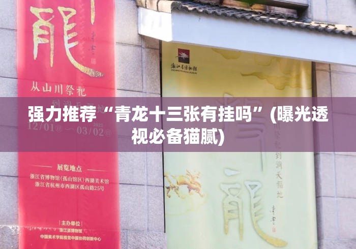 强力推荐“青龙十三张有挂吗”(曝光透视必备猫腻)