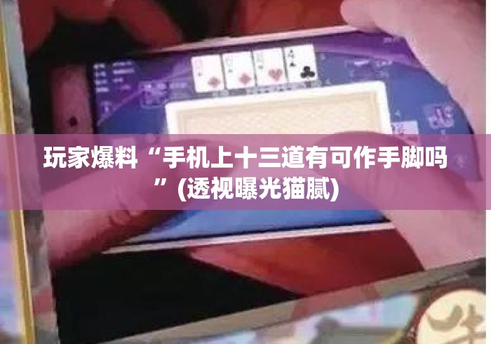 玩家爆料“手机上十三道有可作手脚吗	”(透视曝光猫腻)