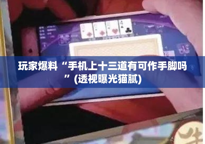 玩家爆料“手机上十三道有可作手脚吗”(透视曝光猫腻)