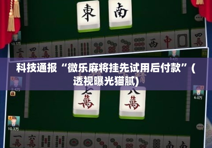科技通报“微乐麻将挂先试用后付款”(透视曝光猫腻)