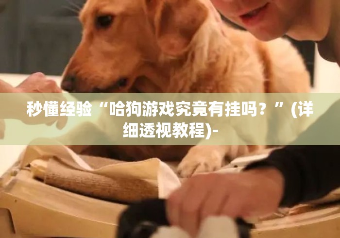 秒懂经验“哈狗游戏究竟有挂吗？”(详细透视教程)-