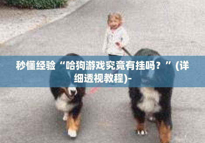 秒懂经验“哈狗游戏究竟有挂吗？	”(详细透视教程)-