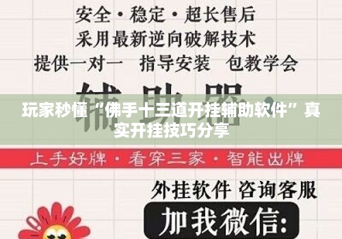 玩家秒懂“佛手十三道开挂辅助软件”真实开挂技巧分享