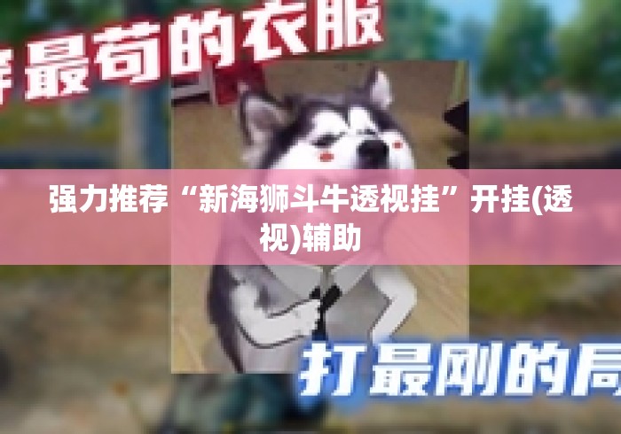 强力推荐“新海狮斗牛透视挂”开挂(透视)辅助