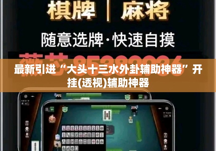 最新引进“大头十三水外卦辅助神器”开挂(透视)辅助神器