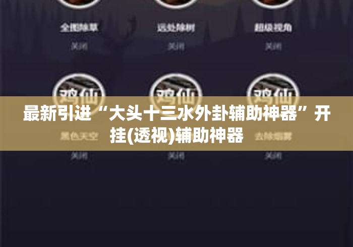 最新引进“大头十三水外卦辅助神器”开挂(透视)辅助神器