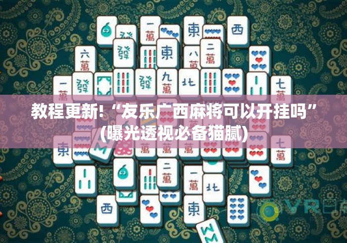 教程更新!“友乐广西麻将可以开挂吗”(曝光透视必备猫腻)