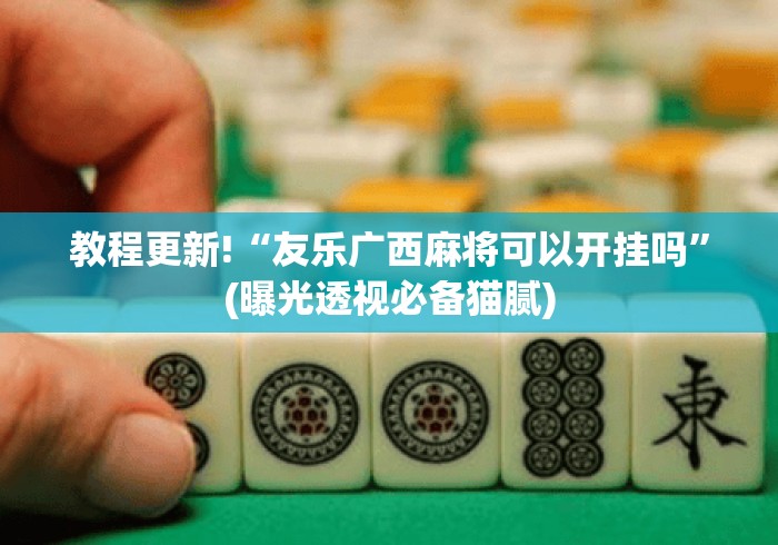 教程更新!“友乐广西麻将可以开挂吗”(曝光透视必备猫腻)