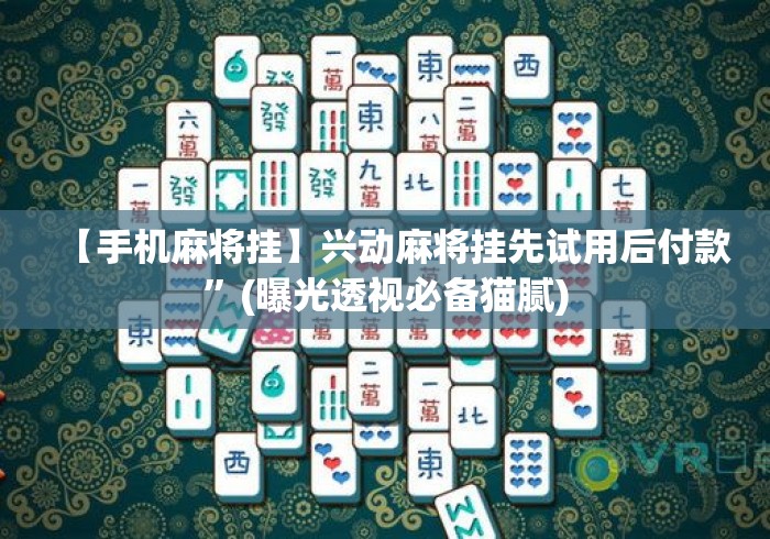 【手机麻将挂】兴动麻将挂先试用后付款”(曝光透视必备猫腻)