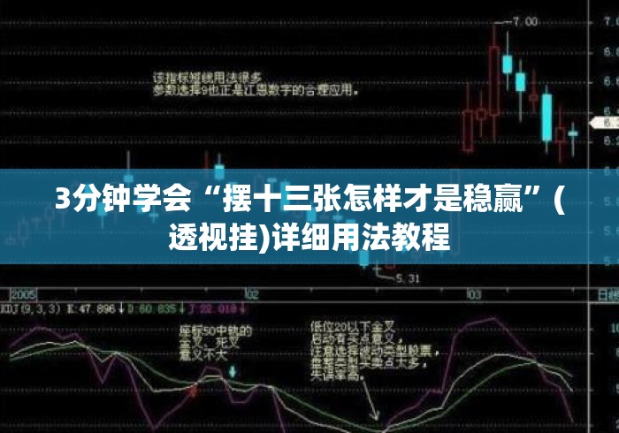 3分钟学会“摆十三张怎样才是稳赢”(透视挂)详细用法教程