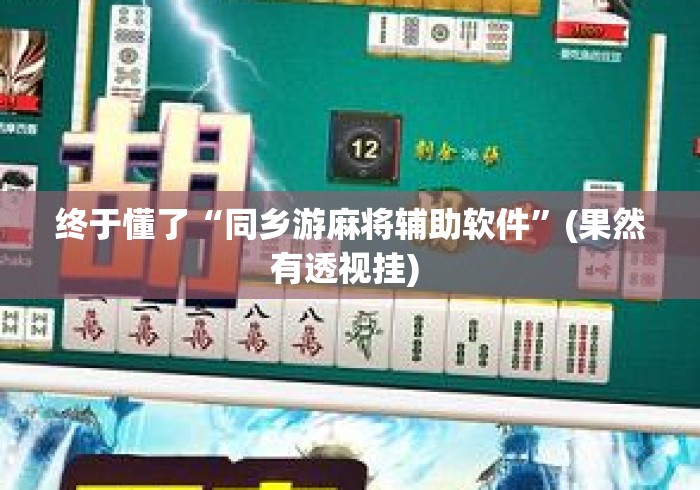 终于懂了“同乡游麻将辅助软件”(果然有透视挂) 