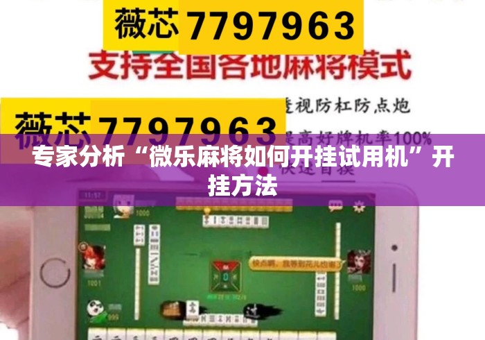 专家分析“微乐麻将如何开挂试用机”开挂方法