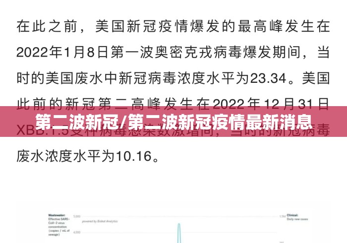 第二波新冠/第二波新冠疫情最新消息
