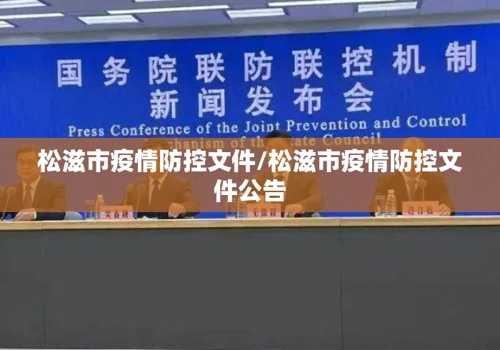 松滋市疫情防控文件/松滋市疫情防控文件公告