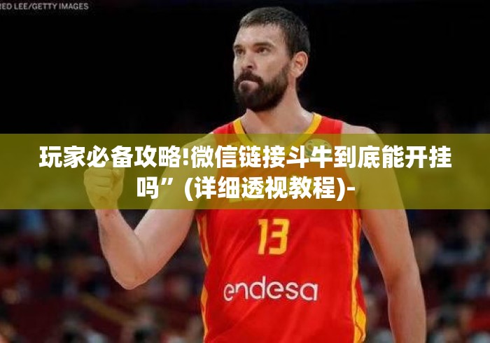 玩家必备攻略!微信链接斗牛到底能开挂吗”(详细透视教程)-