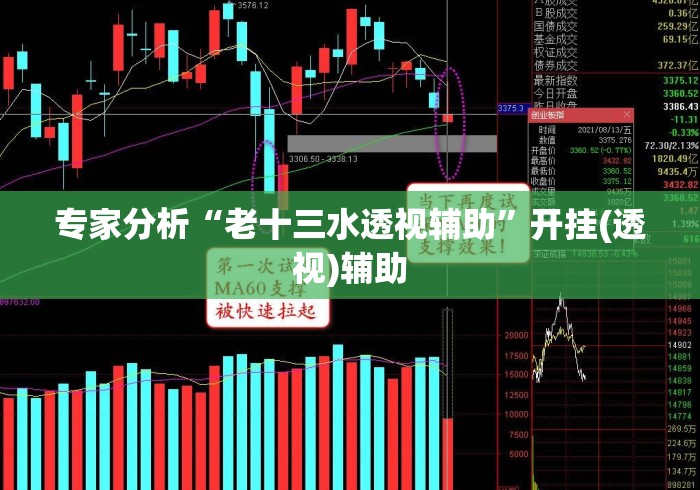 专家分析“老十三水透视辅助”开挂(透视)辅助
