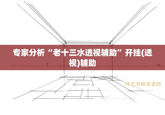 专家分析“老十三水透视辅助”开挂(透视)辅助