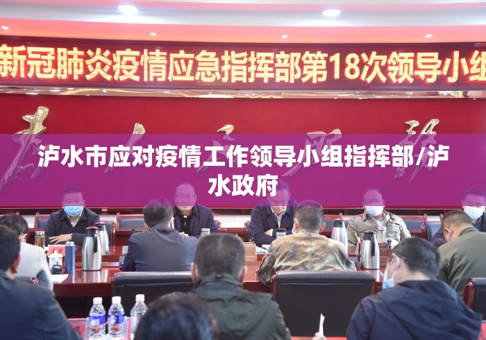 泸水市应对疫情工作领导小组指挥部/泸水政府 泸水市应对疫情工作领导小组指挥部/泸水政府