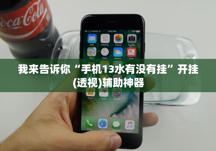我来告诉你“手机13水有没有挂	”开挂(透视)辅助神器
