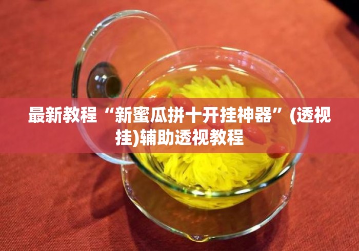 最新教程“新蜜瓜拼十开挂神器”(透视挂)辅助透视教程