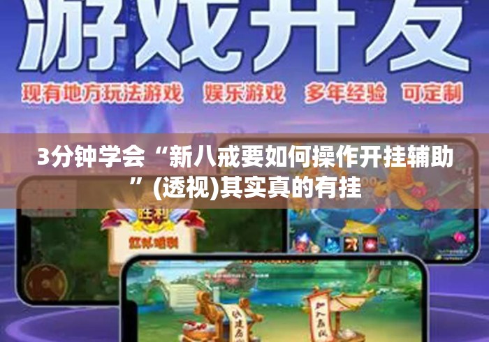 3分钟学会“新八戒要如何操作开挂辅助”(透视)其实真的有挂