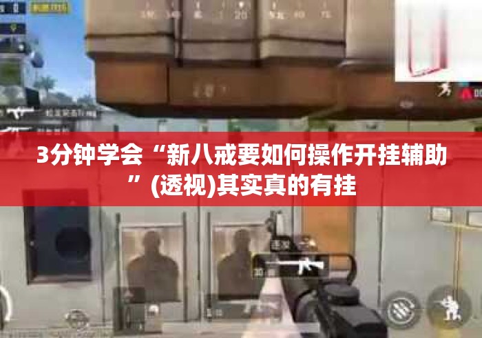 3分钟学会“新八戒要如何操作开挂辅助	”(透视)其实真的有挂