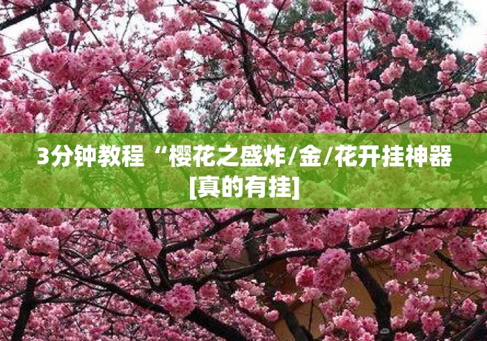 3分钟教程“樱花之盛炸/金/花开挂神器[真的有挂]