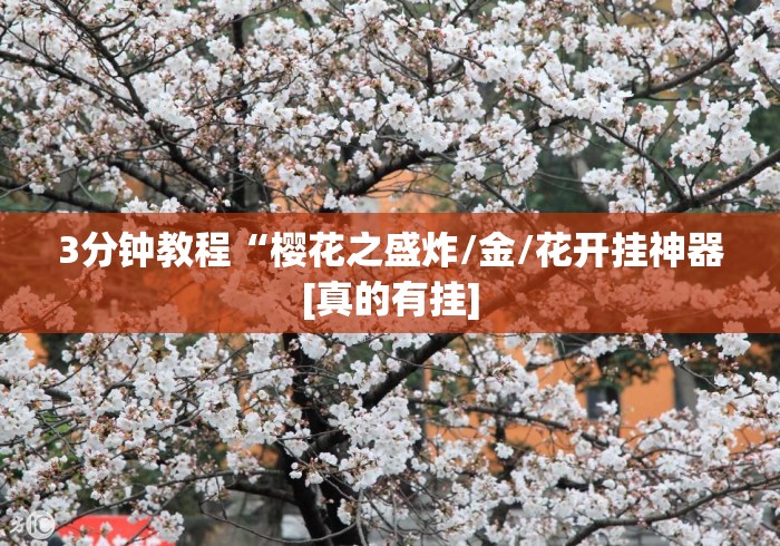 3分钟教程“樱花之盛炸/金/花开挂神器[真的有挂]