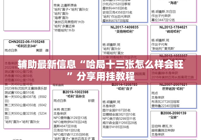 辅助最新信息“哈局十三张怎么样会旺”分享用挂教程
