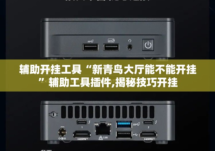 辅助开挂工具“新青鸟大厅能不能开挂”辅助工具插件,揭秘技巧开挂